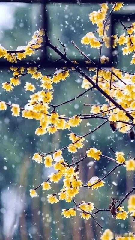 今天朋友说有一副上联，难度很大，一般人答不出来，现在有请二班的高手出来接招…
上