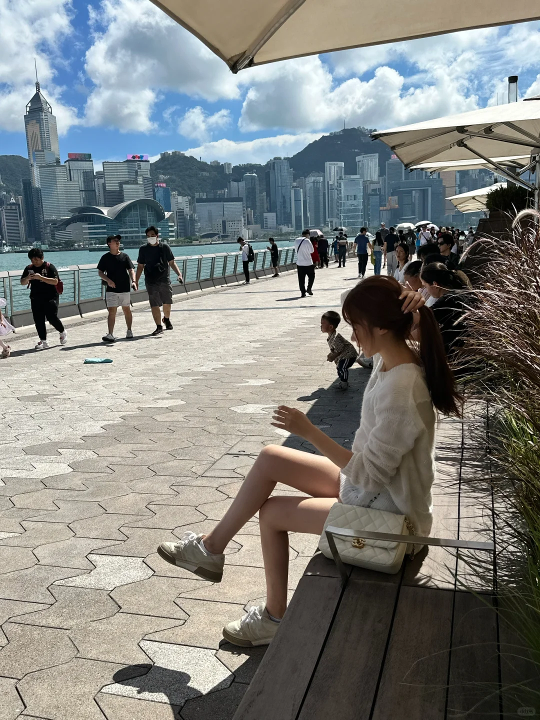 来看海鸥