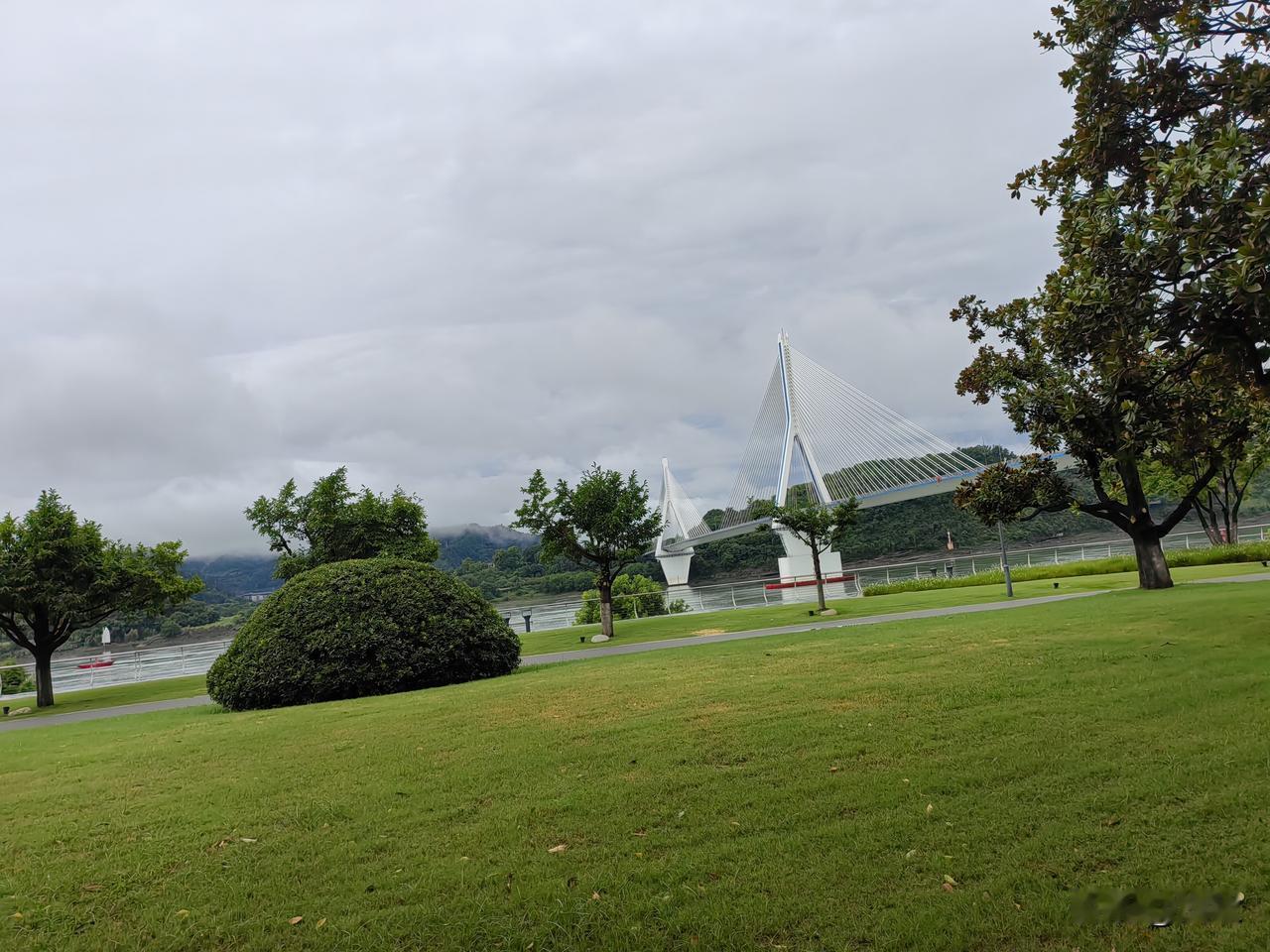 雨后的和平公园清新碧翠，空气新鲜，特别凉爽！