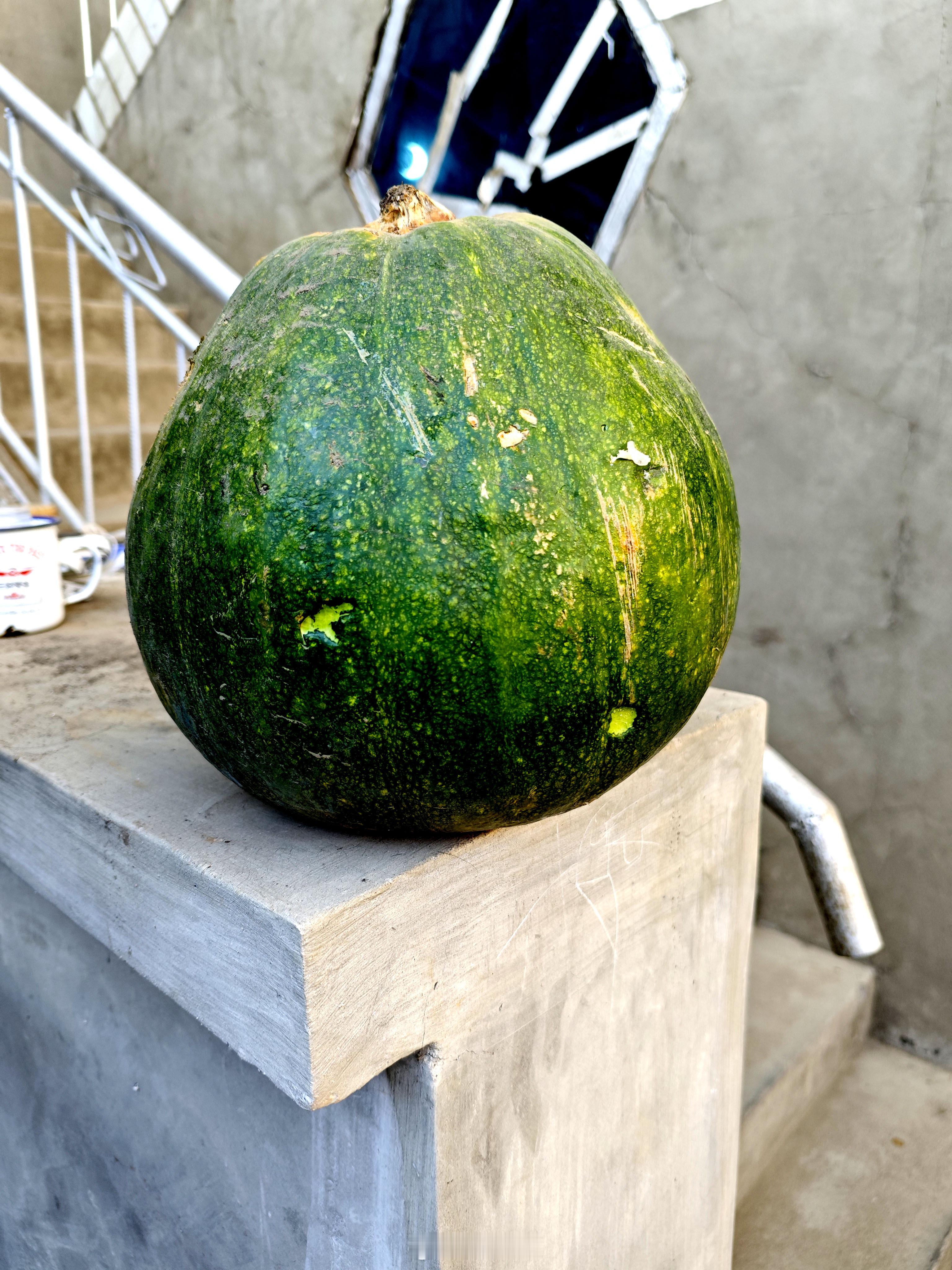 这种叫仁（人）窝瓜。比较高装的。 