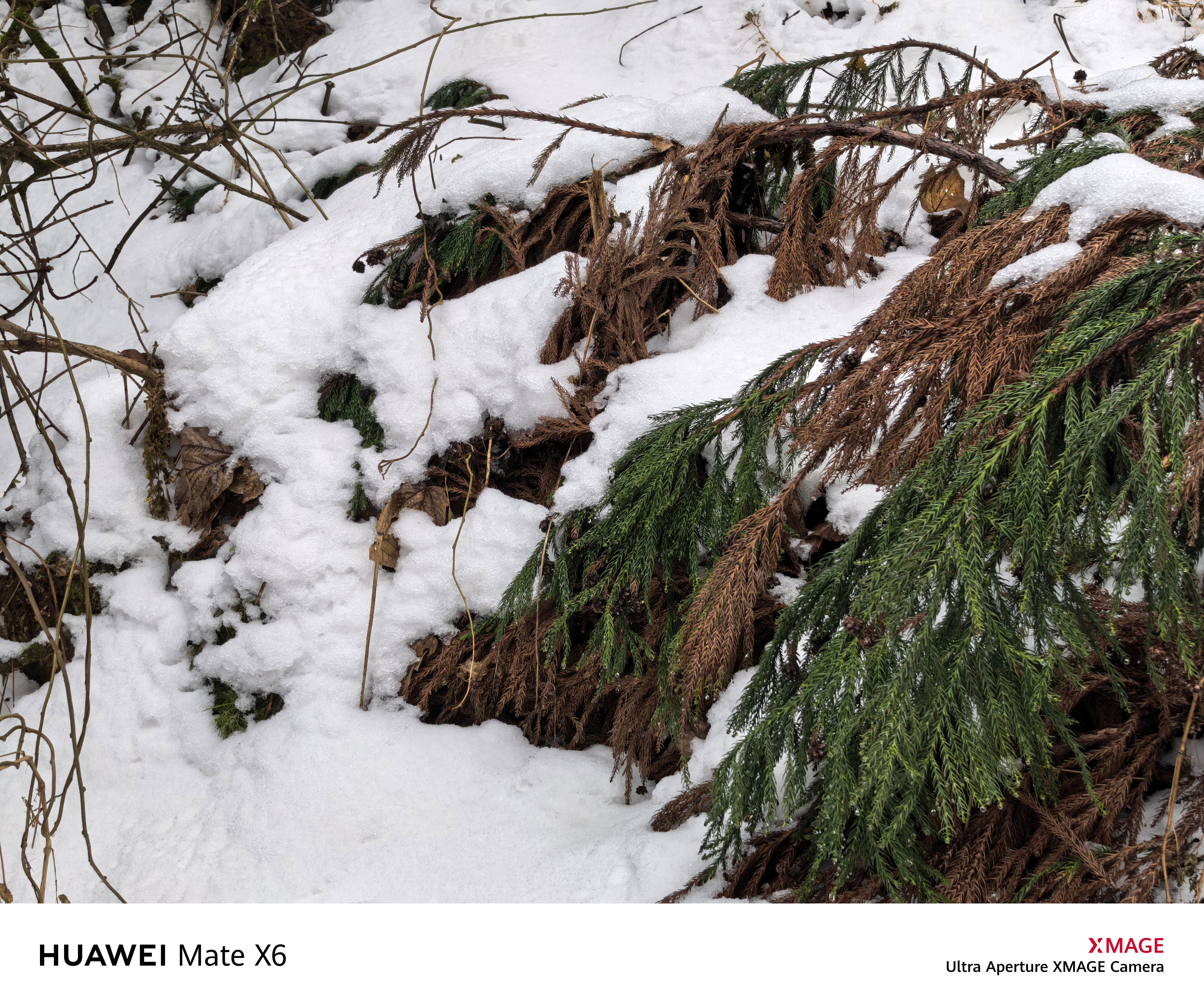 南方小土豆，找地方开始玩雪了！哈哈哈 