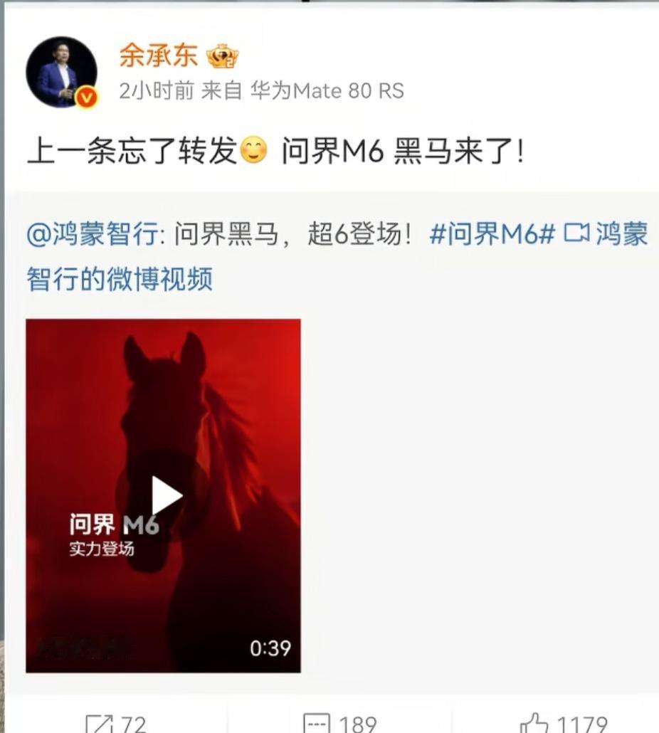 余总，说问界M6是一匹黑马。
问界M6肯定会是爆款，外观有运动，但不失稳重，所以