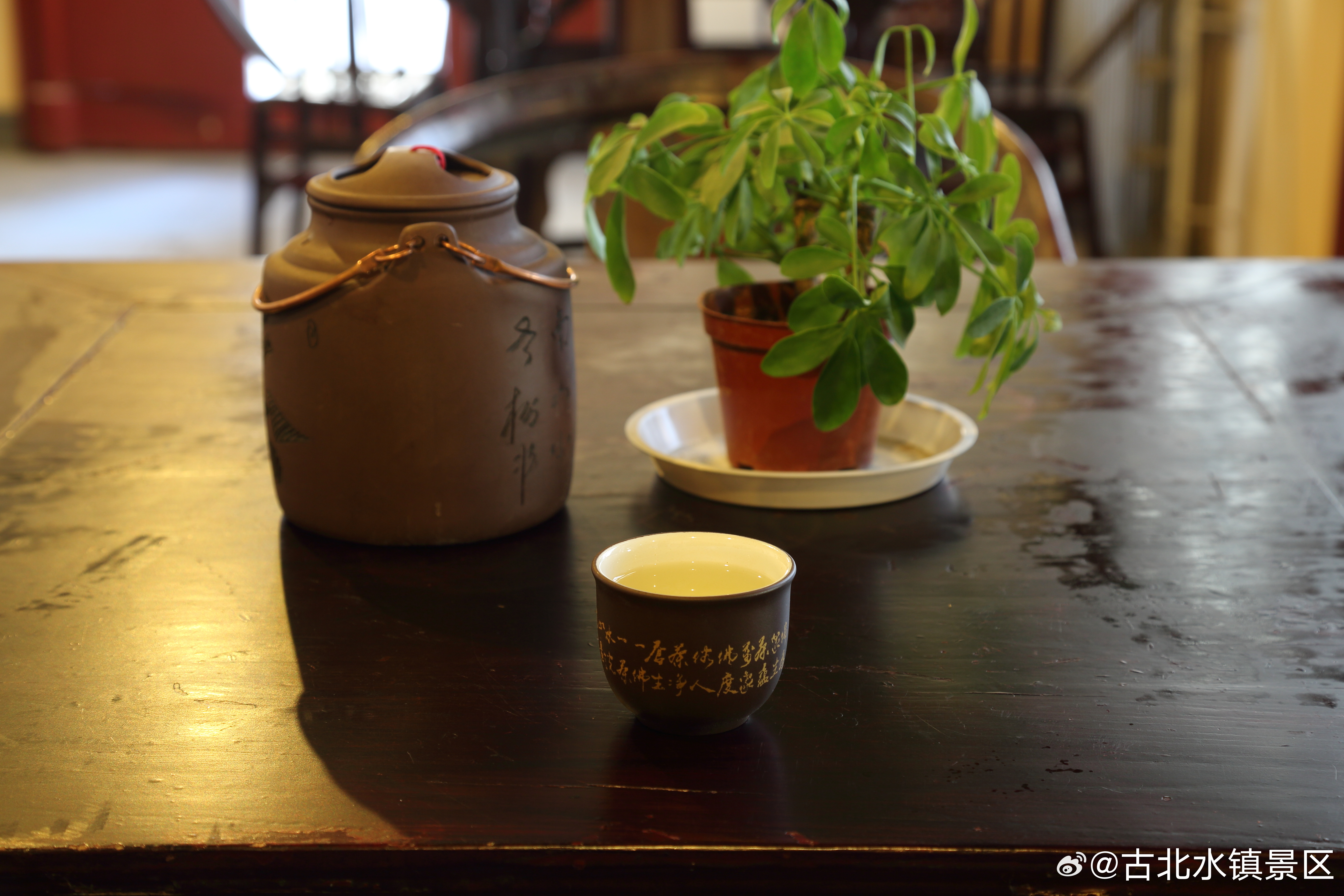 借一段水镇时光，把茶言欢🍵把阳光喝进肚子里，把烦忧抛到云外去☀️早安，宝子们~
