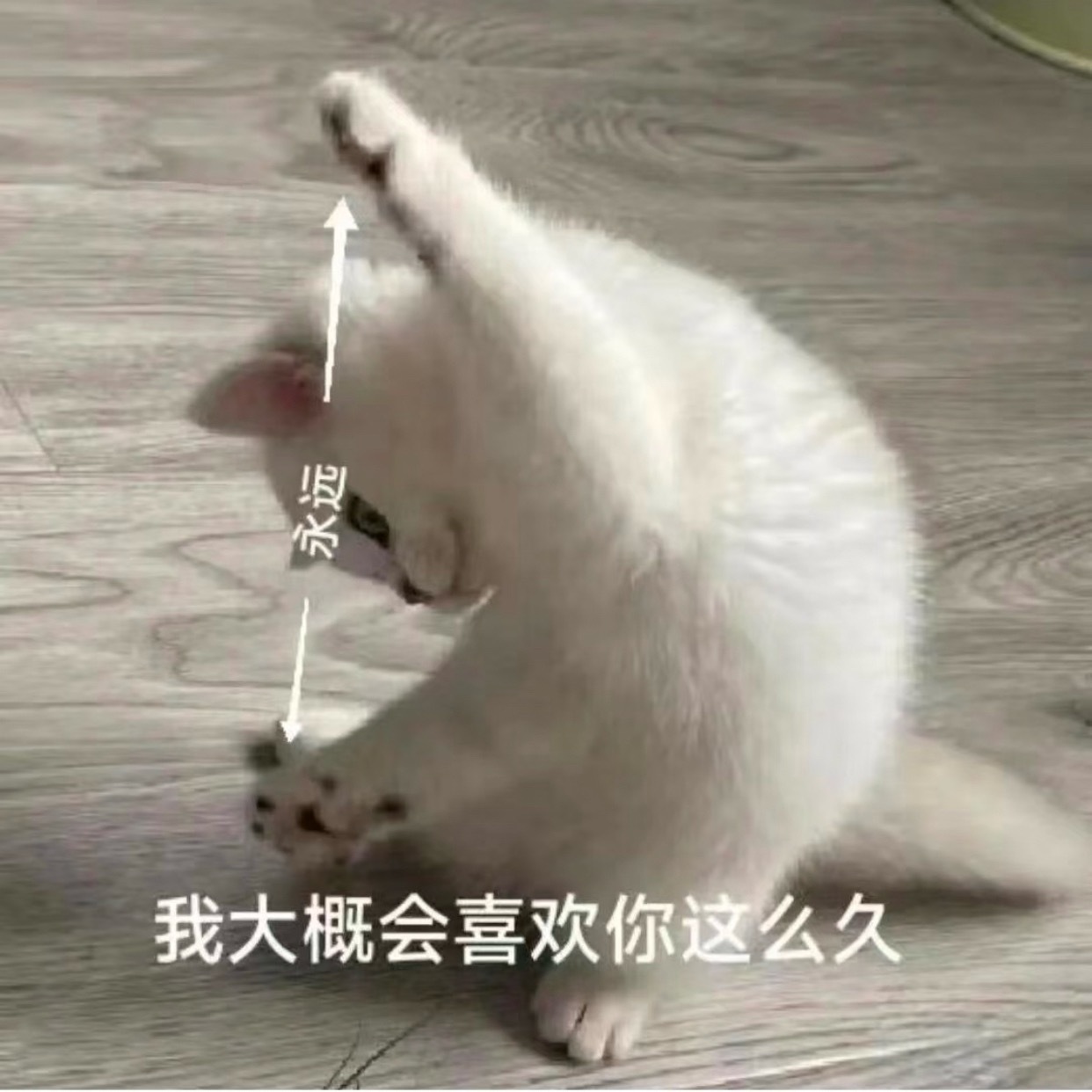 我会在世界尽头等你