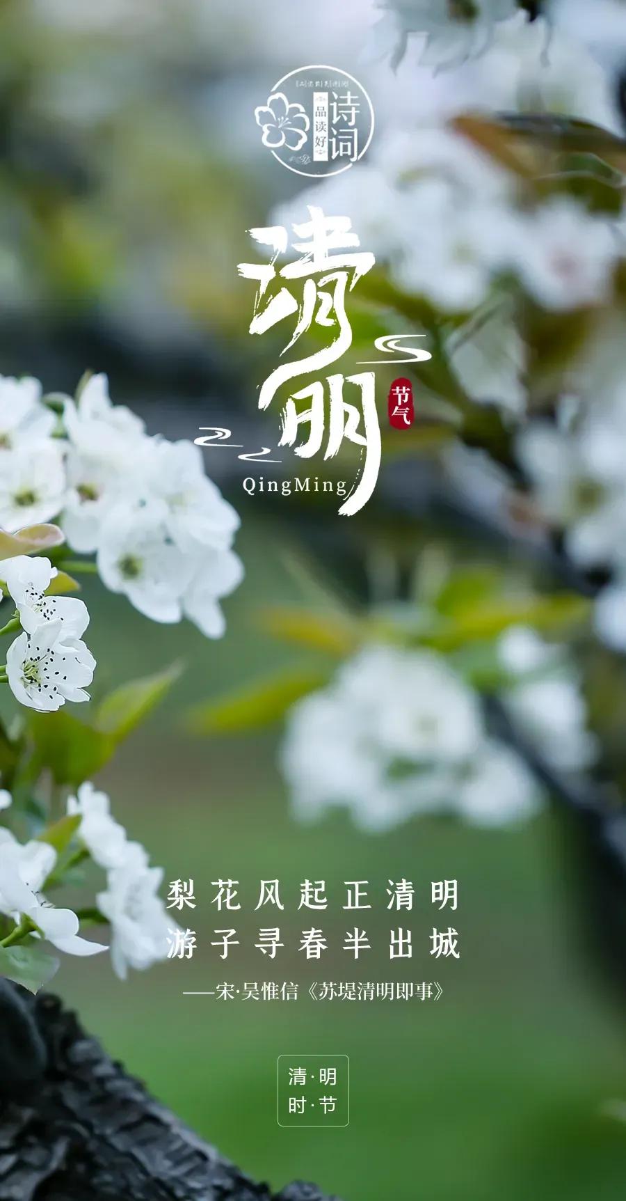 #今日清明#
又是一年人间四月
又是一年清明时节
天地清明 春暖河山
春意浓浓 