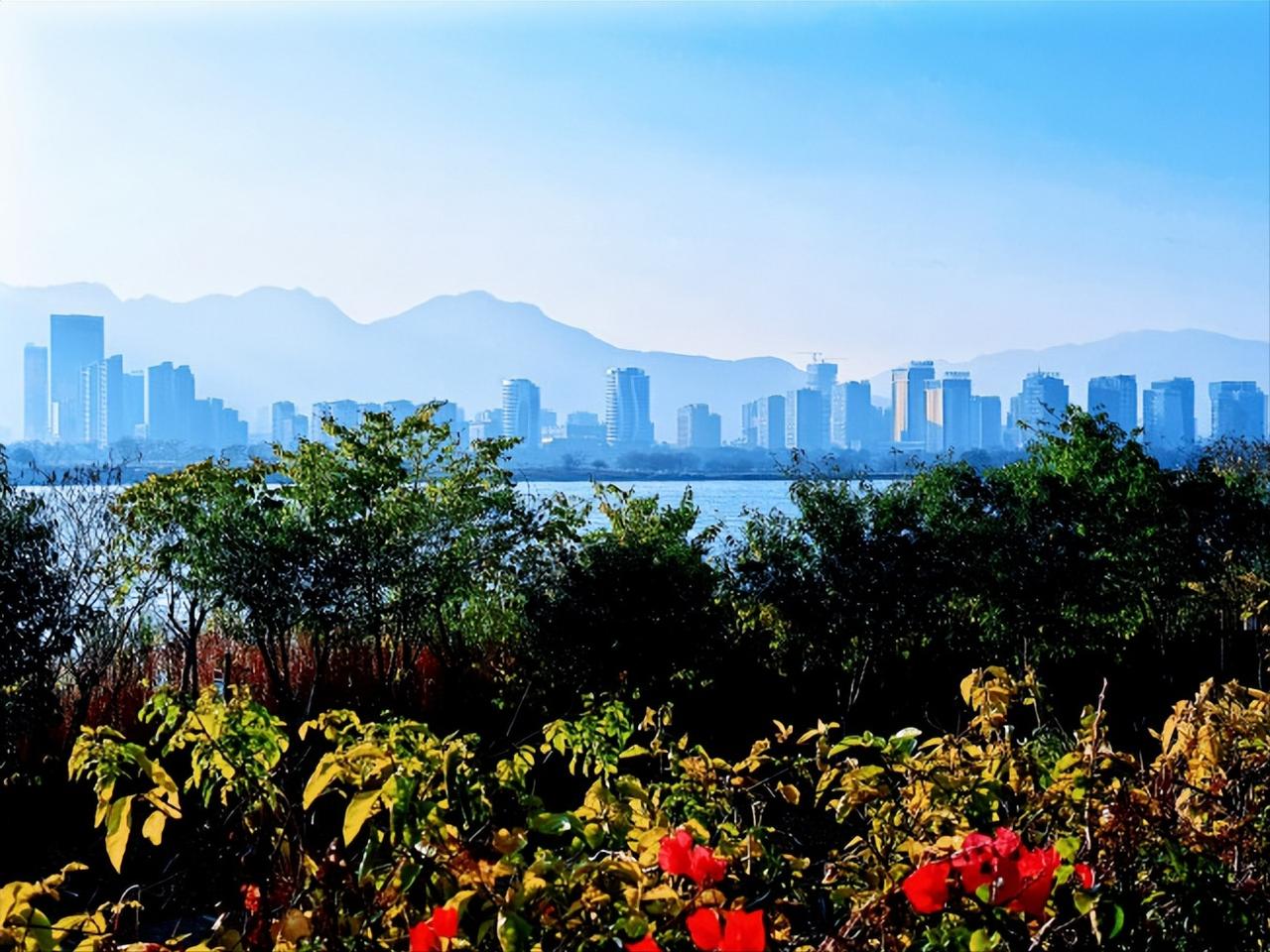 眺望三环对岸的高新区，名副其实的大城市框架，第一高楼还差20米，左边的CBD已开