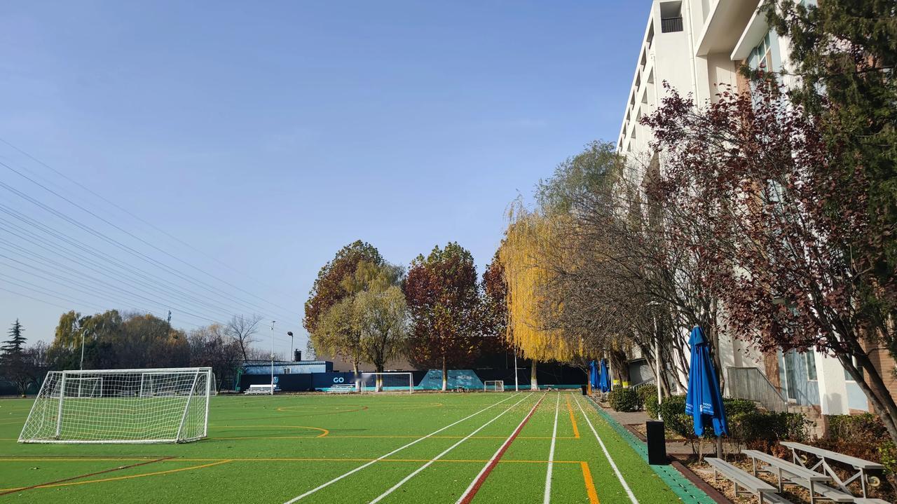 冬日生活打卡季