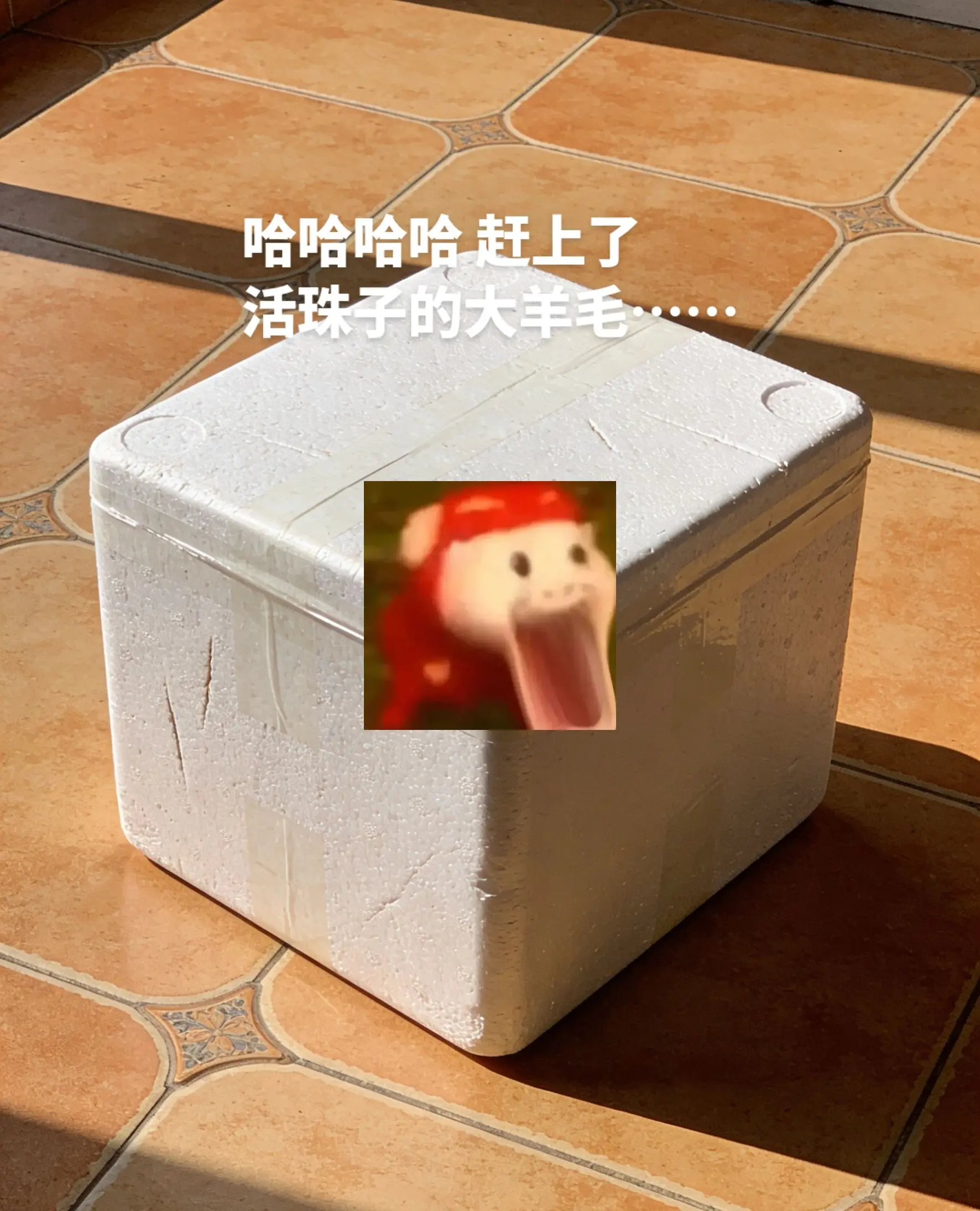 活珠子只有0次和无数次。