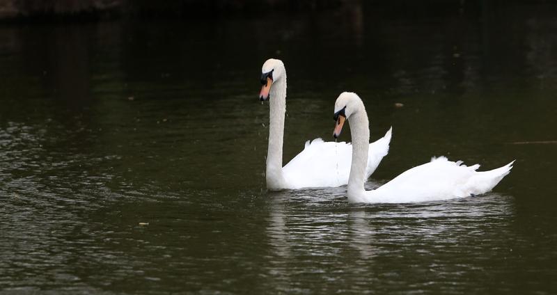上联：思思念念思念不尽，求下联缠缠绵绵，缠绵不休。