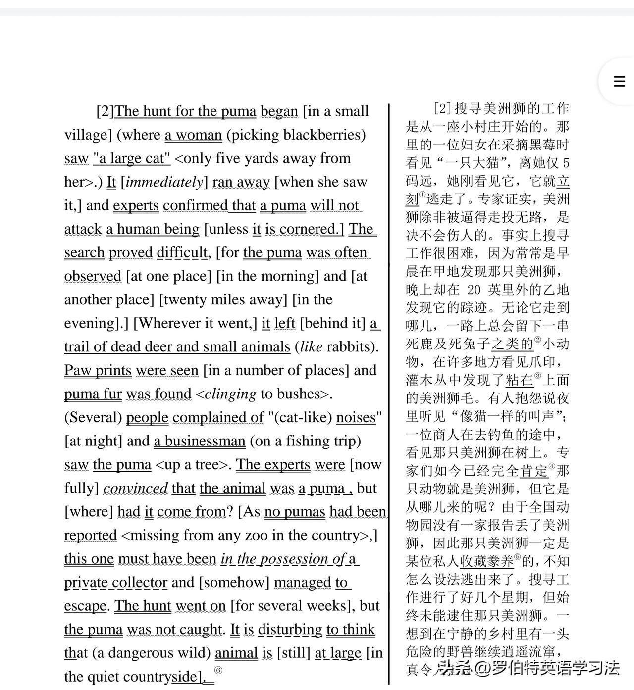 每天分析背诵新三