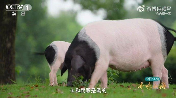 一座金华城满城烟火香寻味山海 锁定10月11日傍晚18:20的CCTV‑1，准备