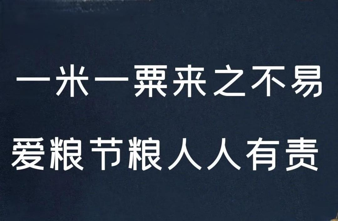2025年11月20日，辽宁葫芦岛海边那一幕真是让人惊掉下巴。多名中老年人把十余