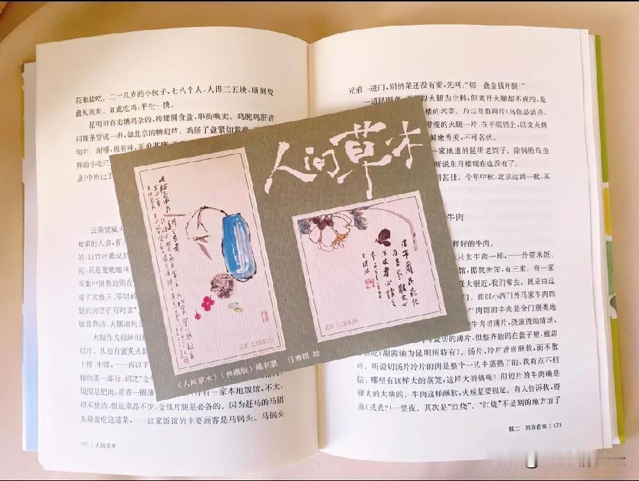 草木从不会刻意喧哗，春抽芽、夏繁茂，入秋便从容褪尽浮华。黄叶不是凋零，是岁月卸下