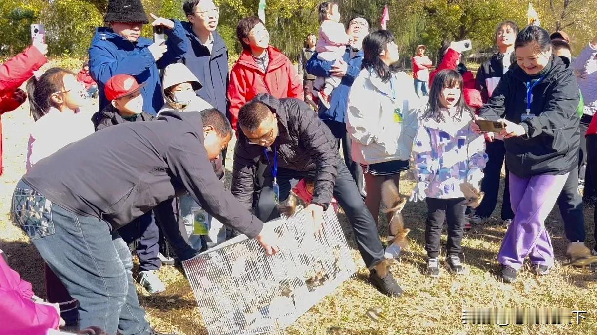 【以爱之名，汇聚光芒】12 月 5 日，一个特殊的日子——国际志愿者日。世界各个