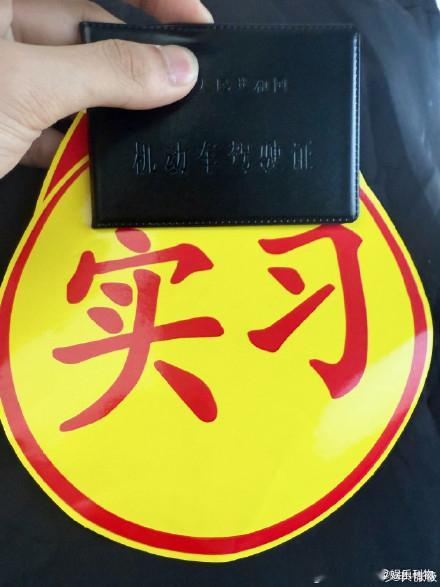 张极拿驾照了张极晒出驾照 最新微博动态：轻轻松松[doge] 哈哈哈哈弟弟实在是