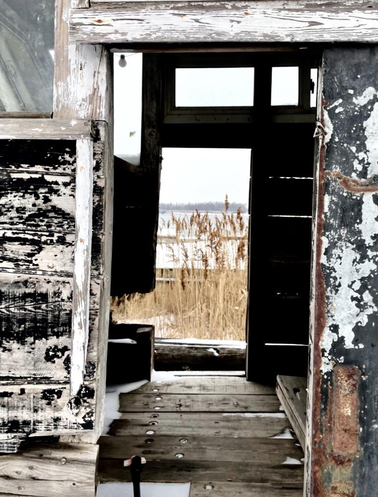 看春晚时，每个人都是总导演，一张嘴，俺要是在总台办春晚，就请谁谁回来演小品说相声