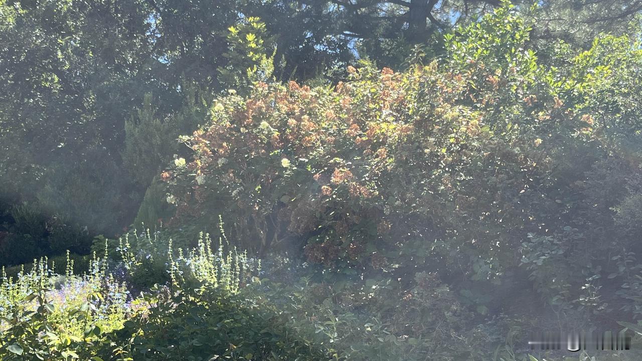 武汉地下代孕窝点被查，我最想问的却是：5月份举报后，为何只停了几天？

看到武汉