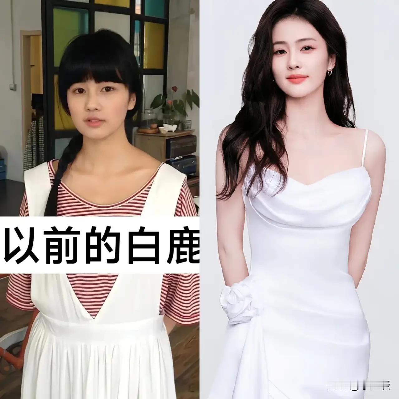 大家发现了没？
白鹿她有一个非常明显的变化，
不是她的皮肤变白了。

而是变自信