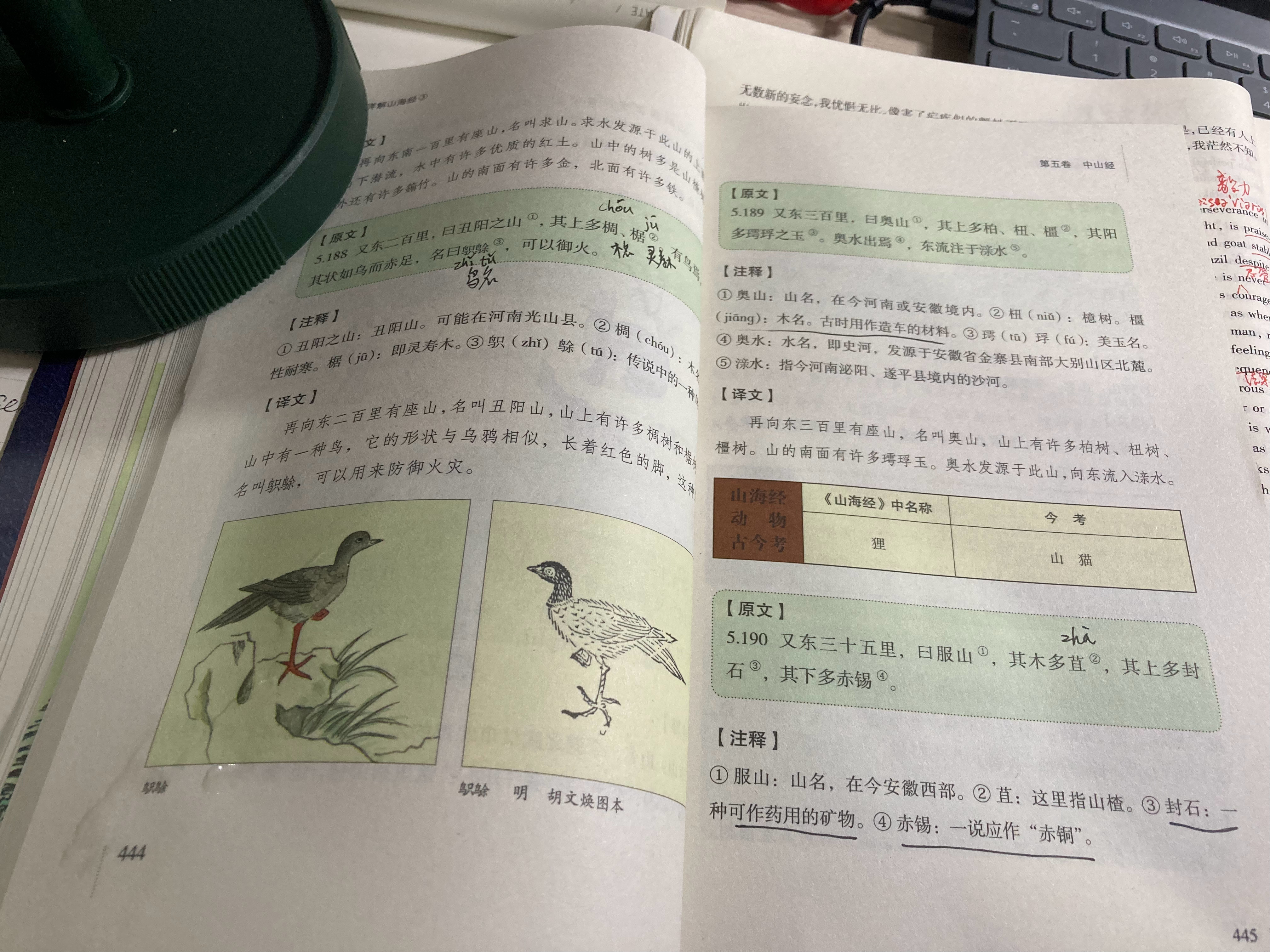 #杨紫国色芳华##特别陪伴杨紫何惟芳160天# 读书104天补打卡《山海经》44