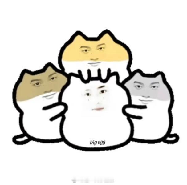 你们好ദ്ദി（• ˕ •マ.ᐟ猜猜我是谁 祝肥肠鱼考100分