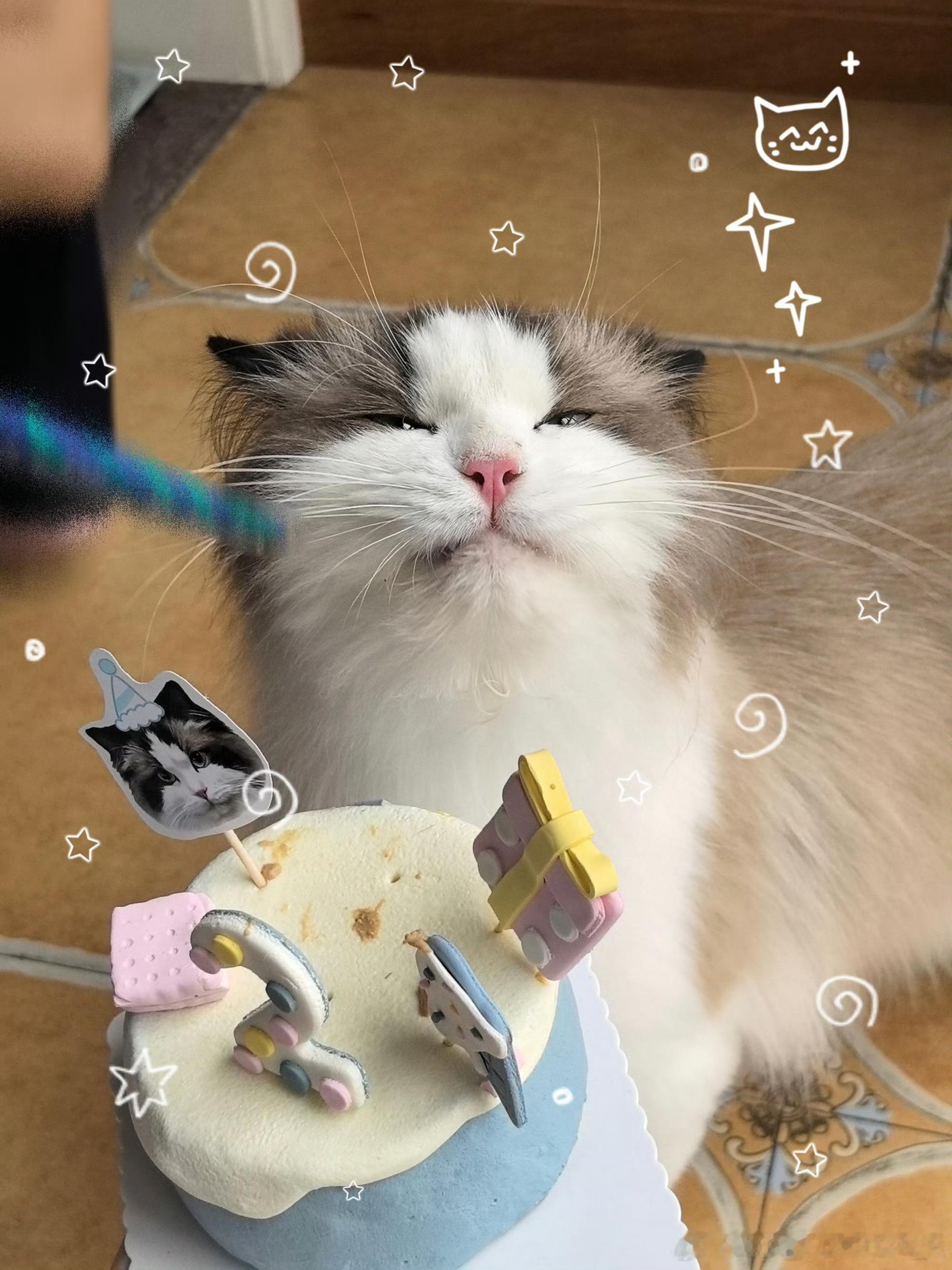 哎呦米儿萌啊 