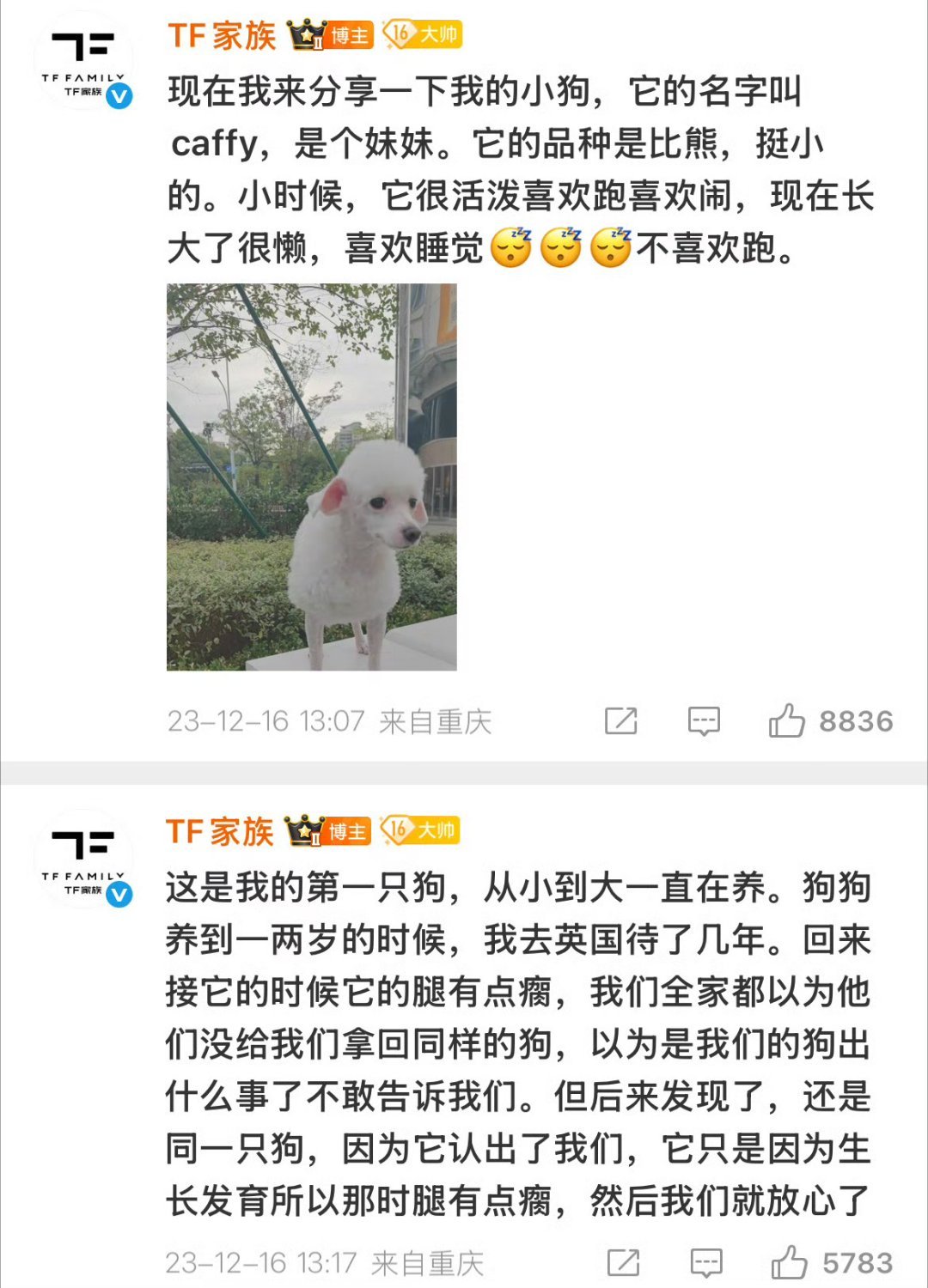 最丑的动物都在时代峰峻了 胡说，陈奕恒的狗明明和他一样萌，归渝第一条微博这是他的