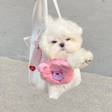 皮傻热说科技