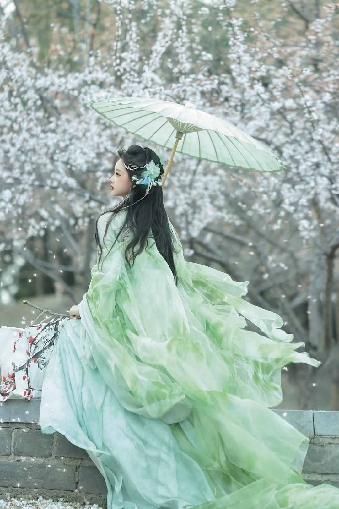 “落花时节又逢君”我好像拍到小说封面了！杏花吹落的时候真的很有氛围感呀...