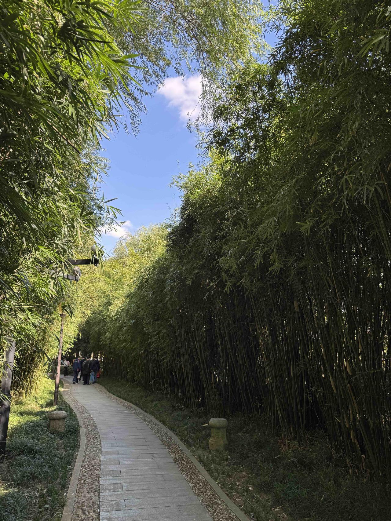 随手拍下公园的景色