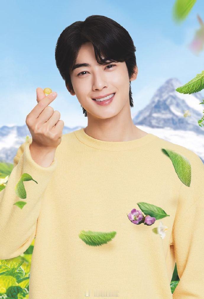 #车银优 没有技巧就是硬帅#车银优的颜值堪称韩国的传奇，申遗是对他的最好赞美。适