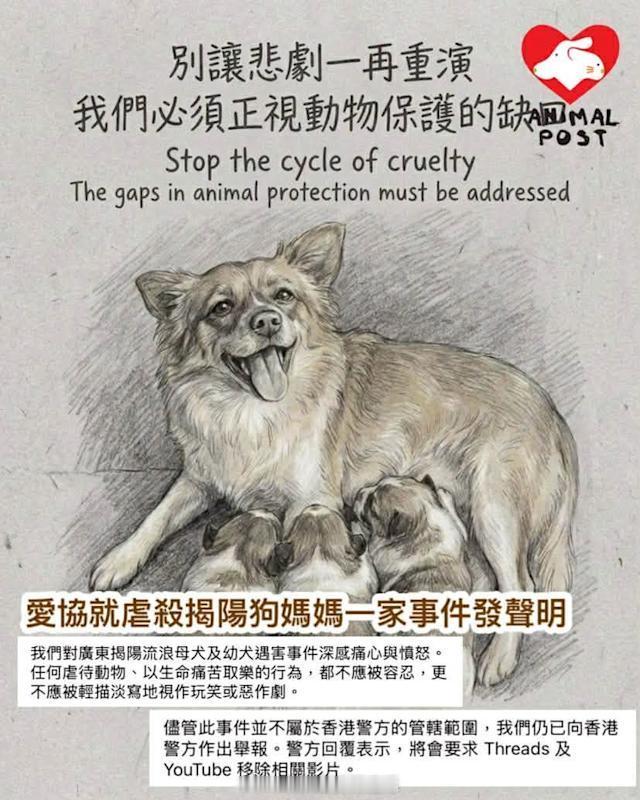 要爱护动物香港法律内地法律 「香港爱护动物协会 對揭阳 狗媽媽一家被虐殺感痛心憤