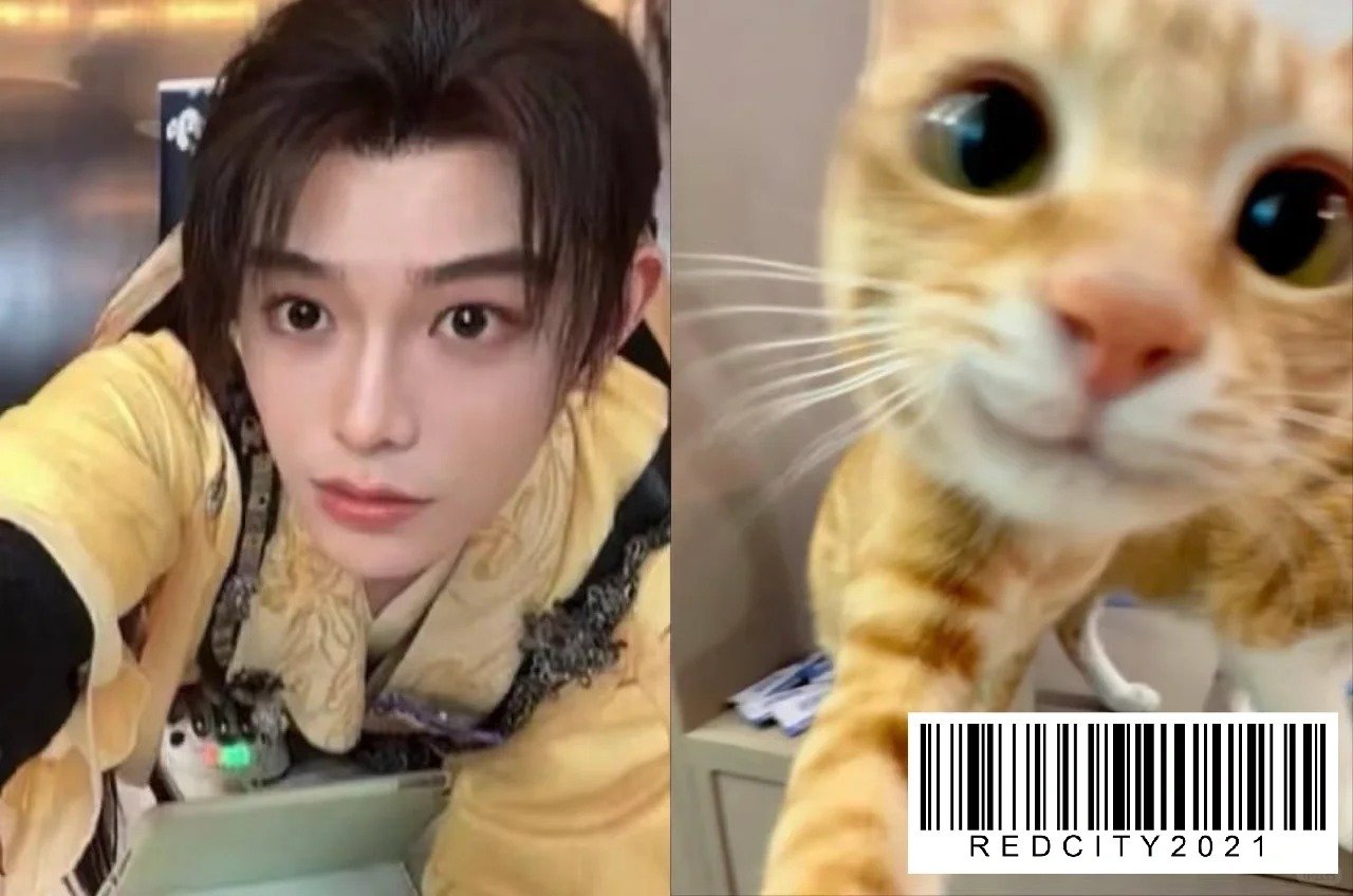 好适合猫塑啊！太可爱了喵~ 