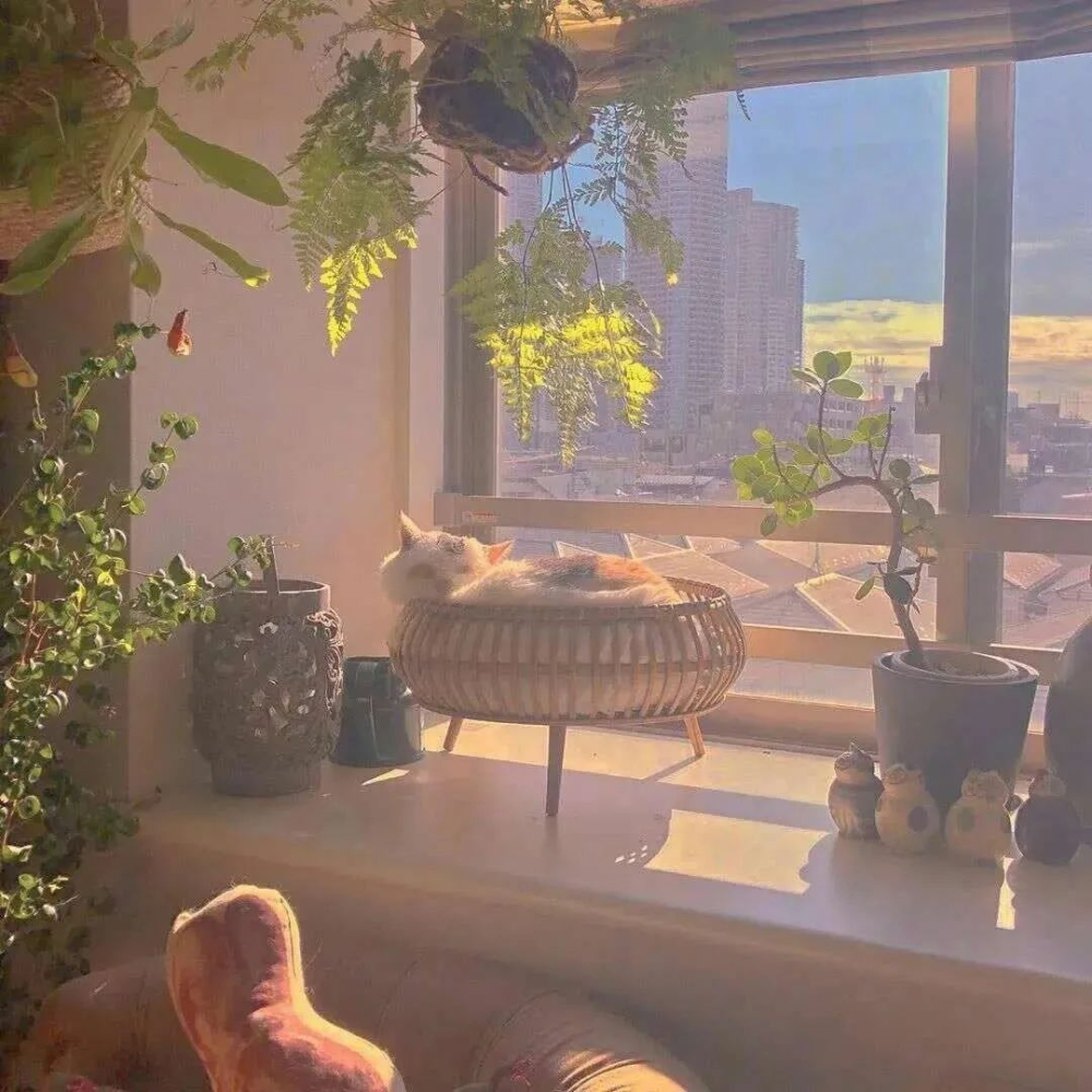 你要让阳光洒在心上，而非身上。｜约翰·缪尔 