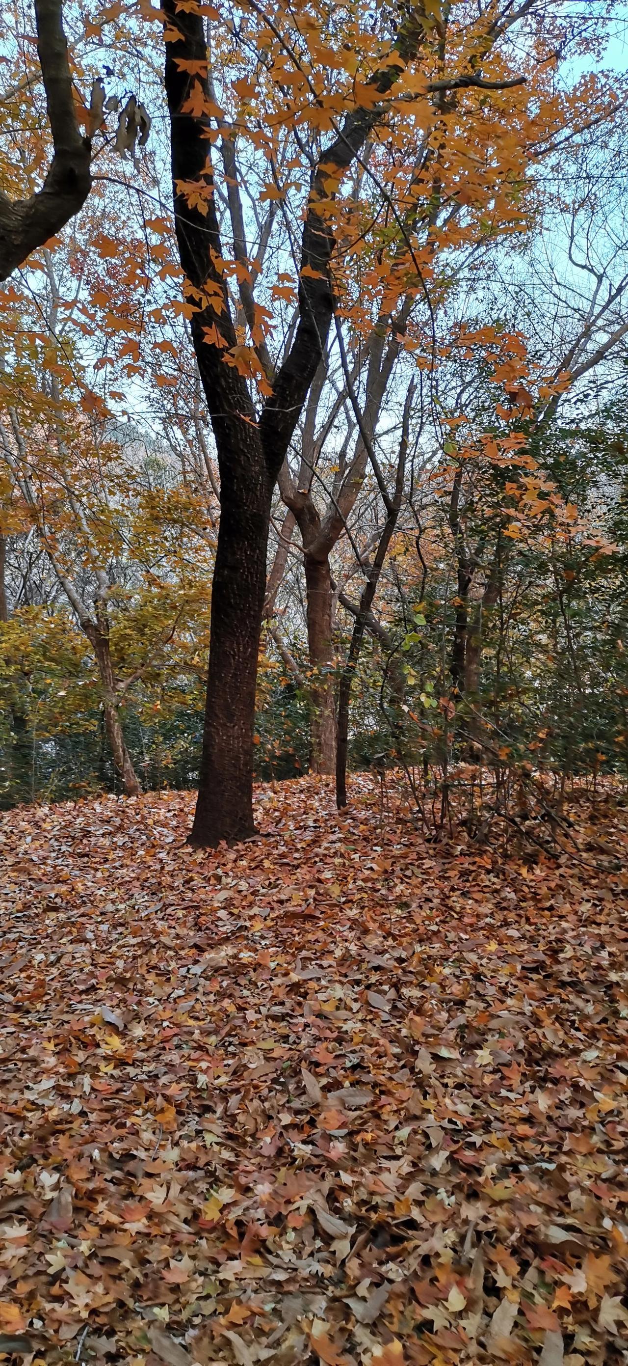 今日生活打卡