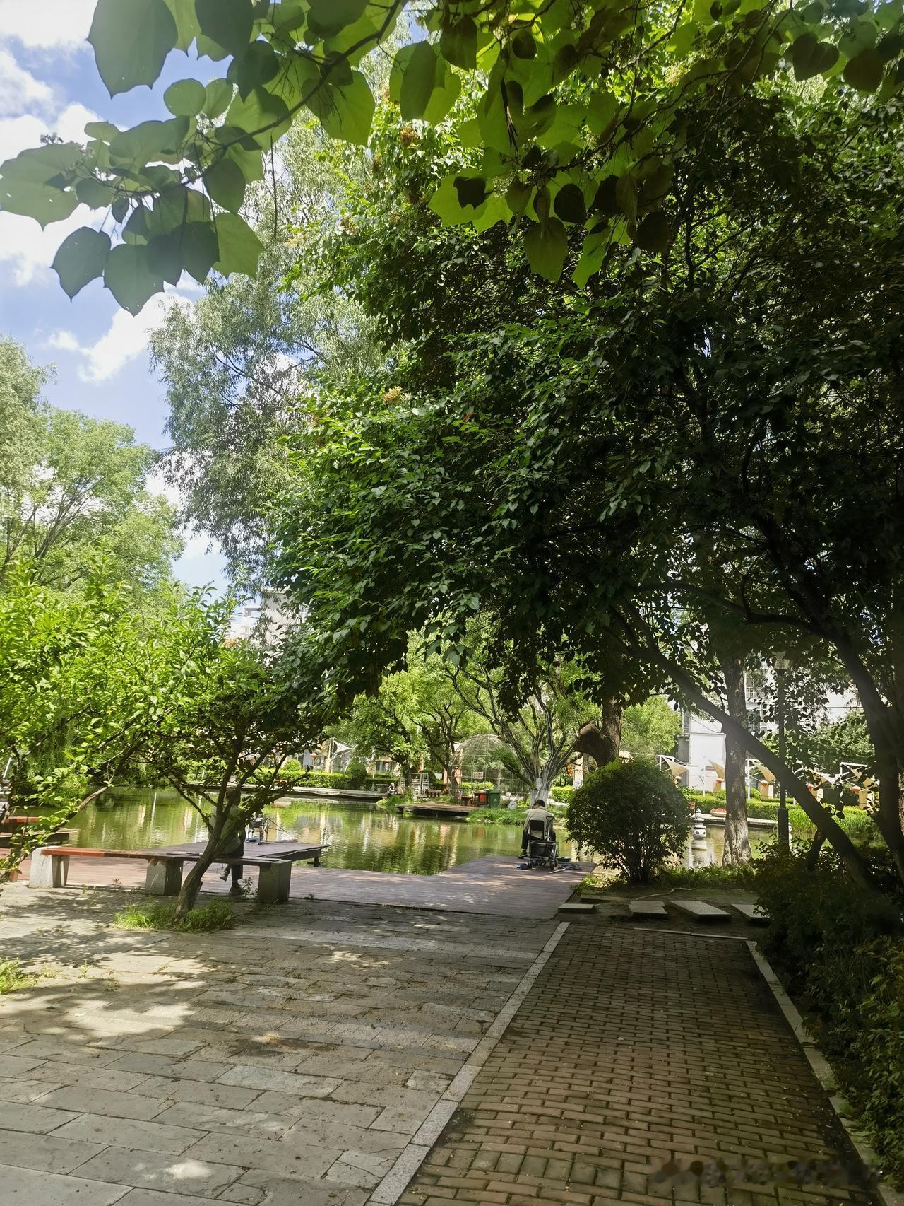 离开家在南京住了半年多，有点物是人非的感觉

昨天在小区外面碰见一个比我大十几岁