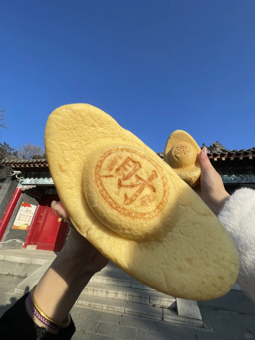 见者有💰向阳寺金元宝面包🍞‼️‼️‼️