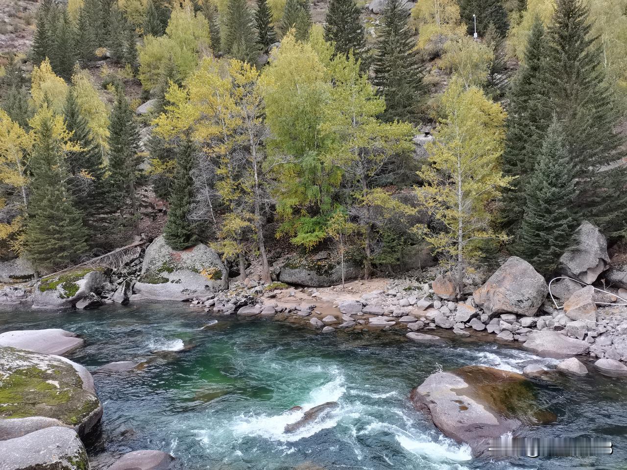 昨天生病了，身子软软的，发着低烧。全天都在床上。

翻了几本书，李娟的《我的阿勒