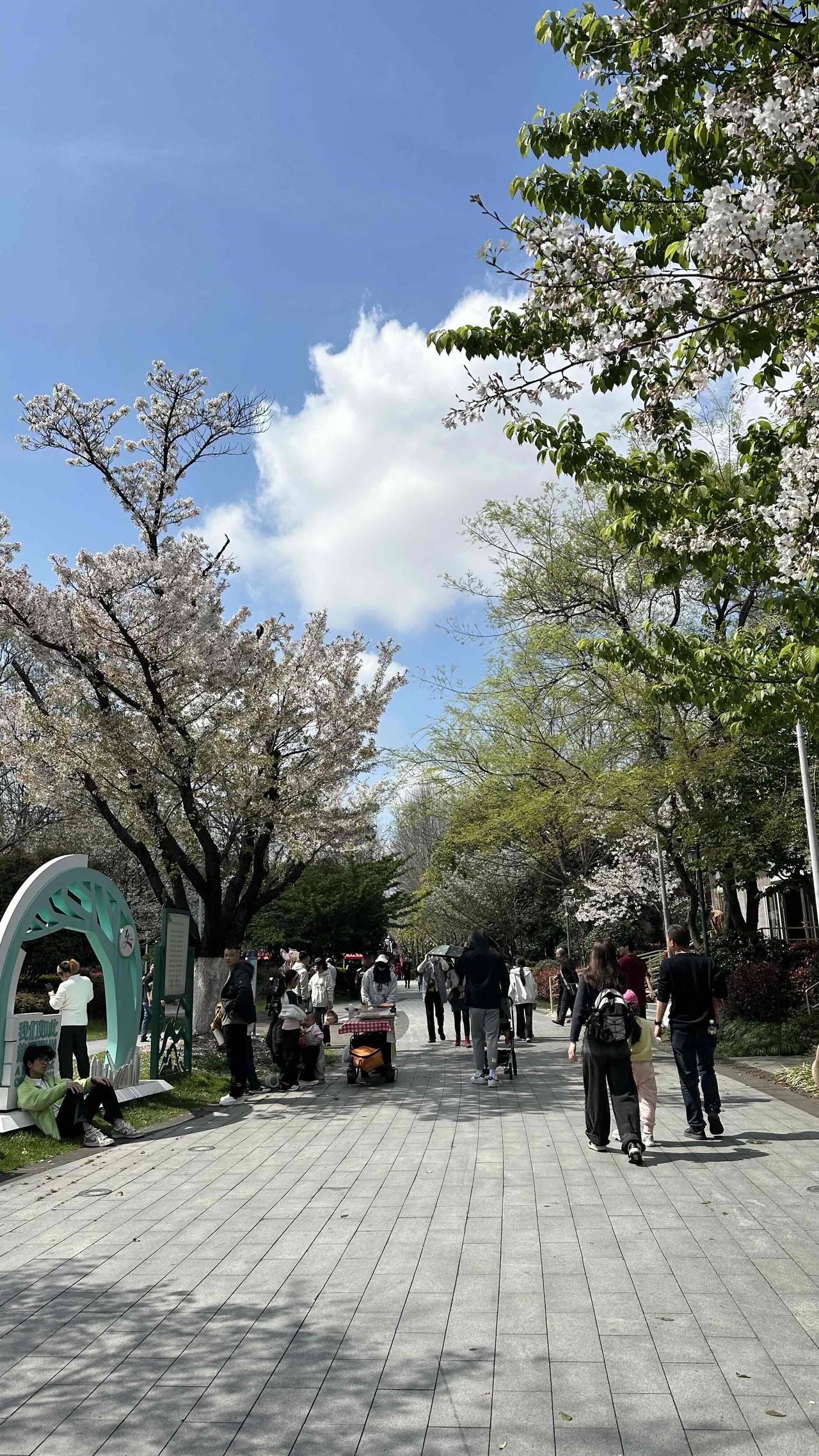 记录我的2026女儿家住在宁波樱花公园旁。每天早晚到樱花公园遛弯儿已经成了我们的