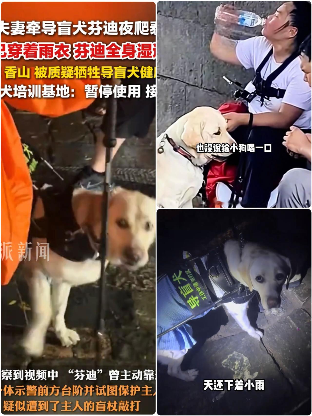 在泰山那对作死的盲人夫妻
又成又‬了网友热议焦点！
原来他们来自北京，做按摩师，