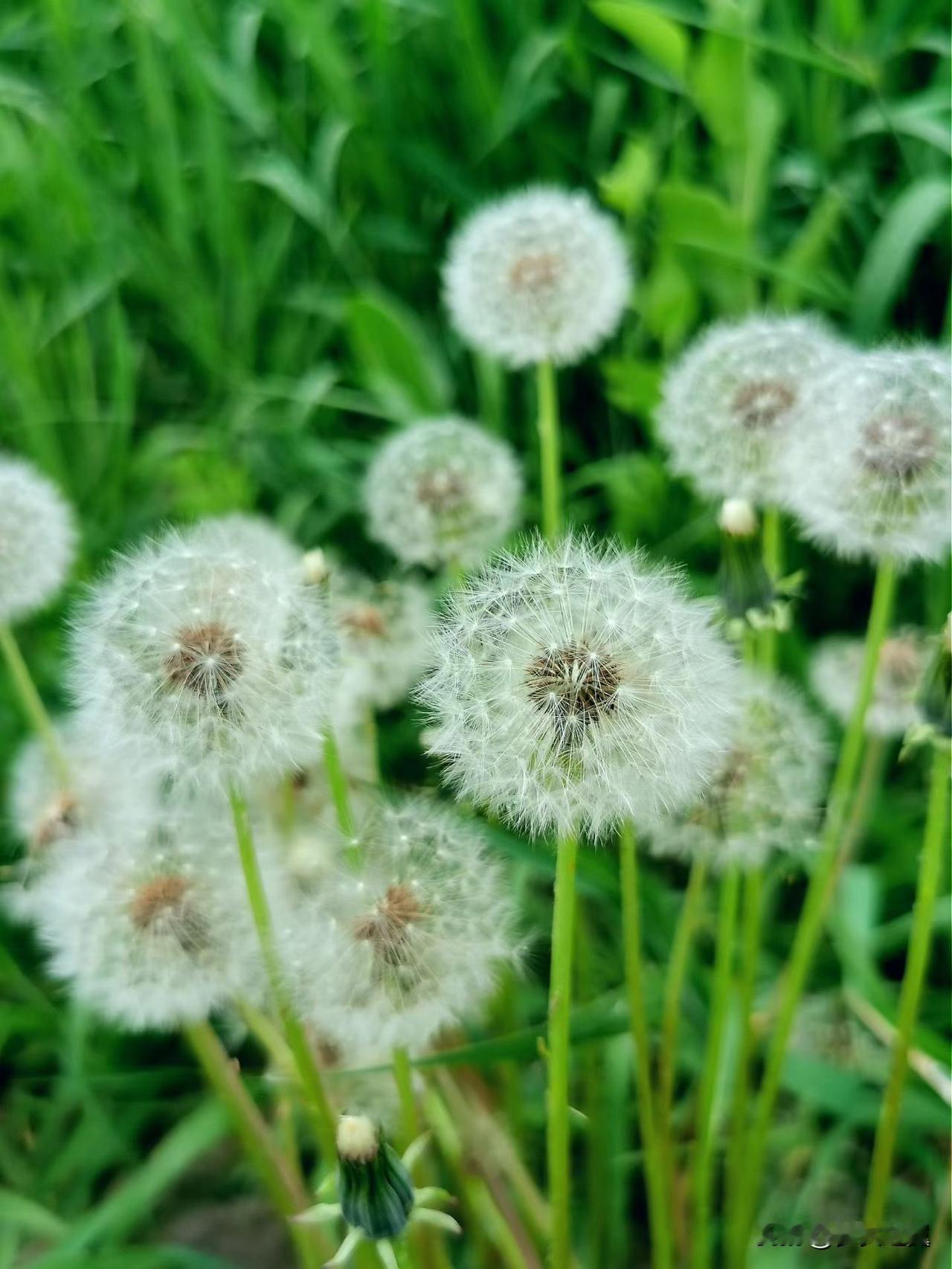 【小对联】
上：……？
下：种族。