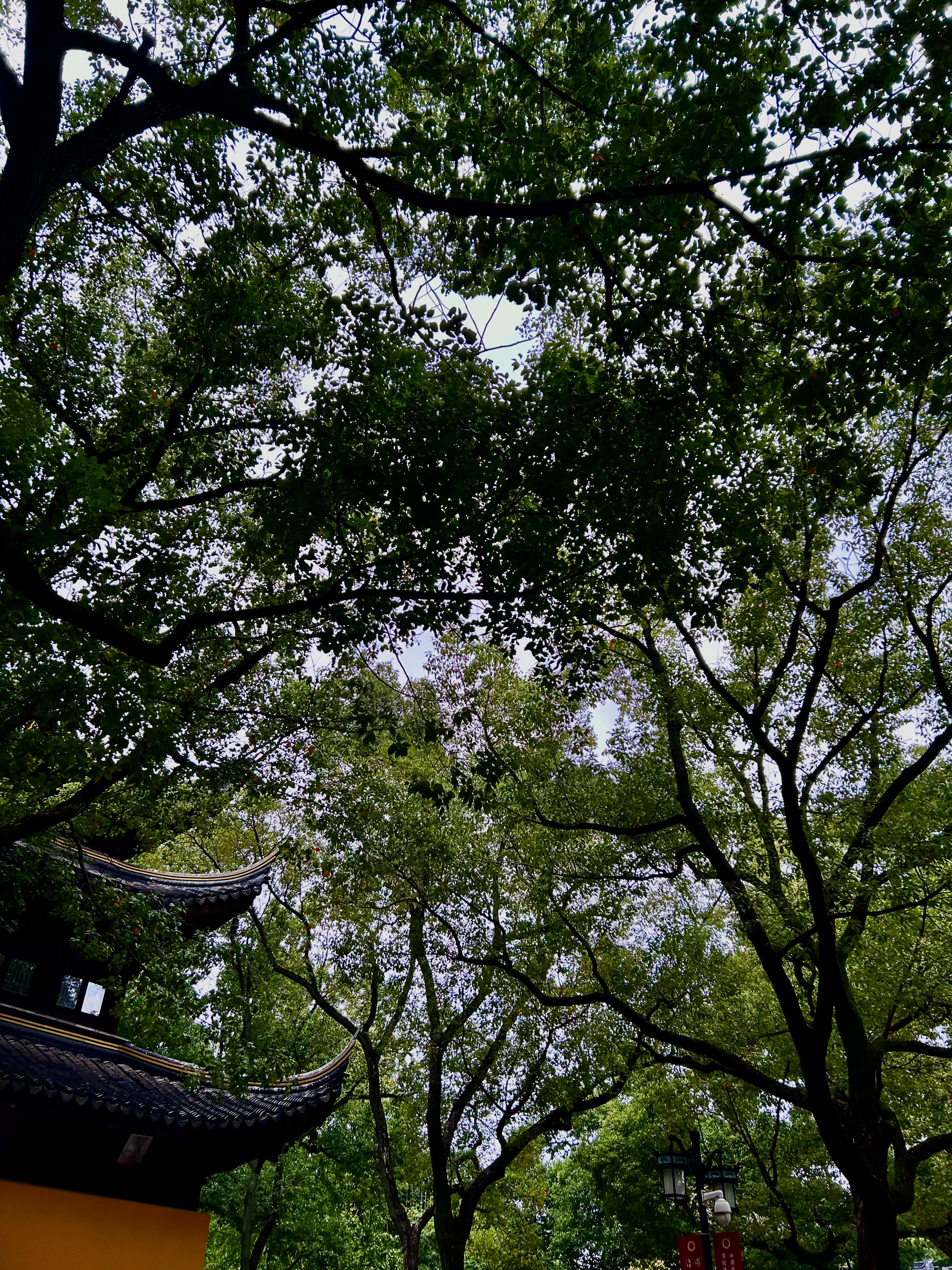 会越来越顺利的