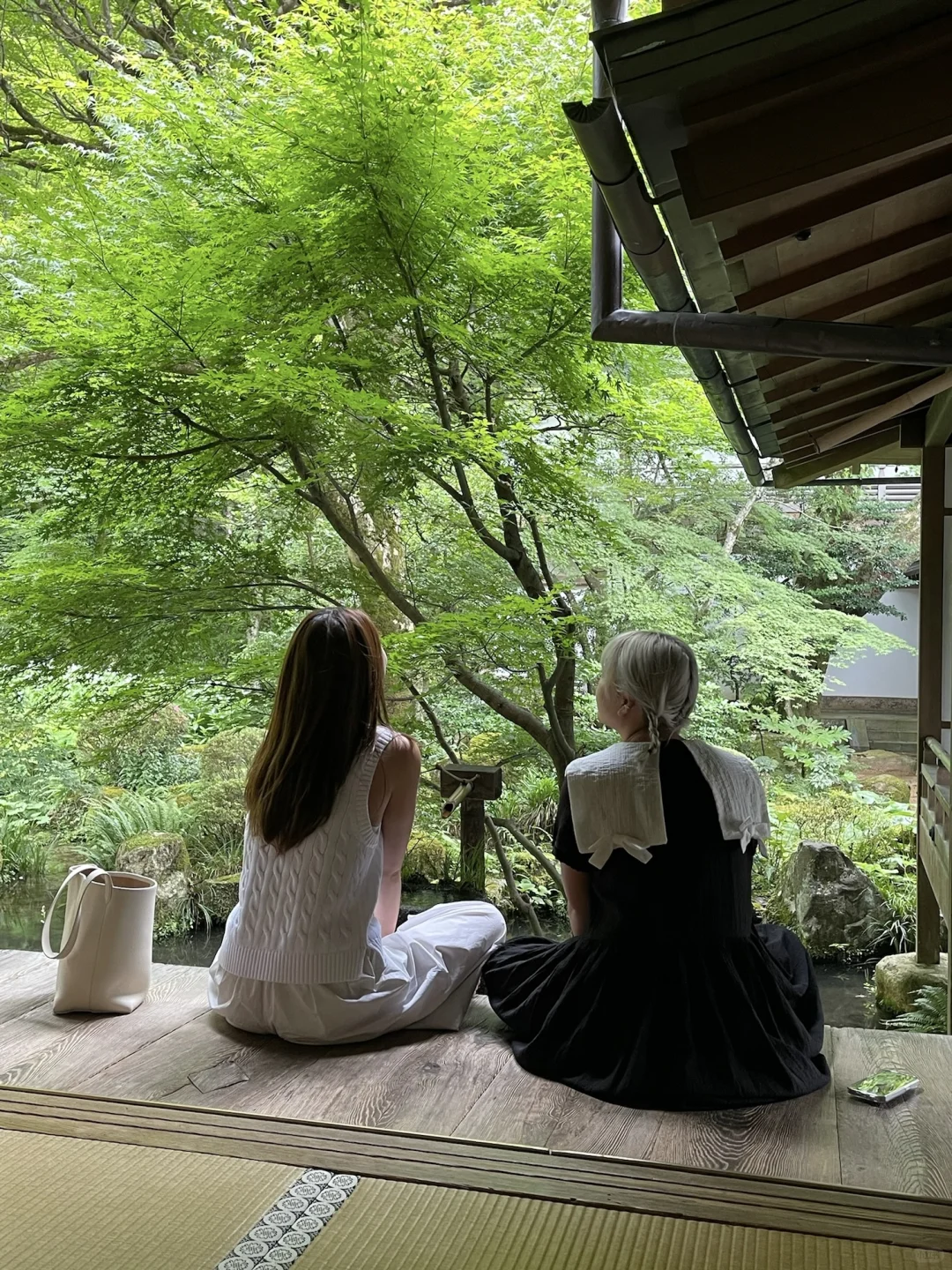 京都 绿光森林🍃