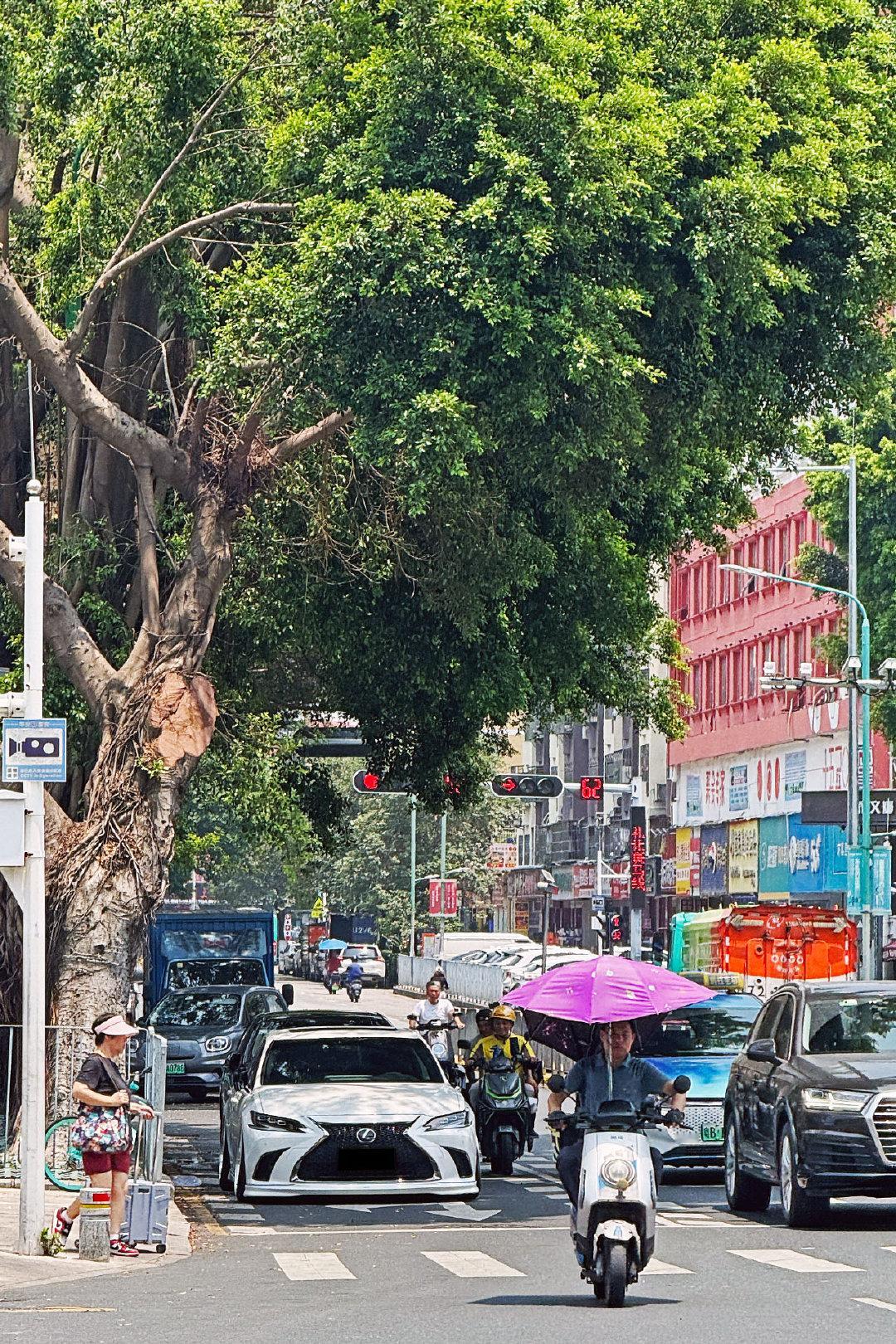 深圳街拍 茶餐厅与改装车 雷克萨斯ES ​​​
