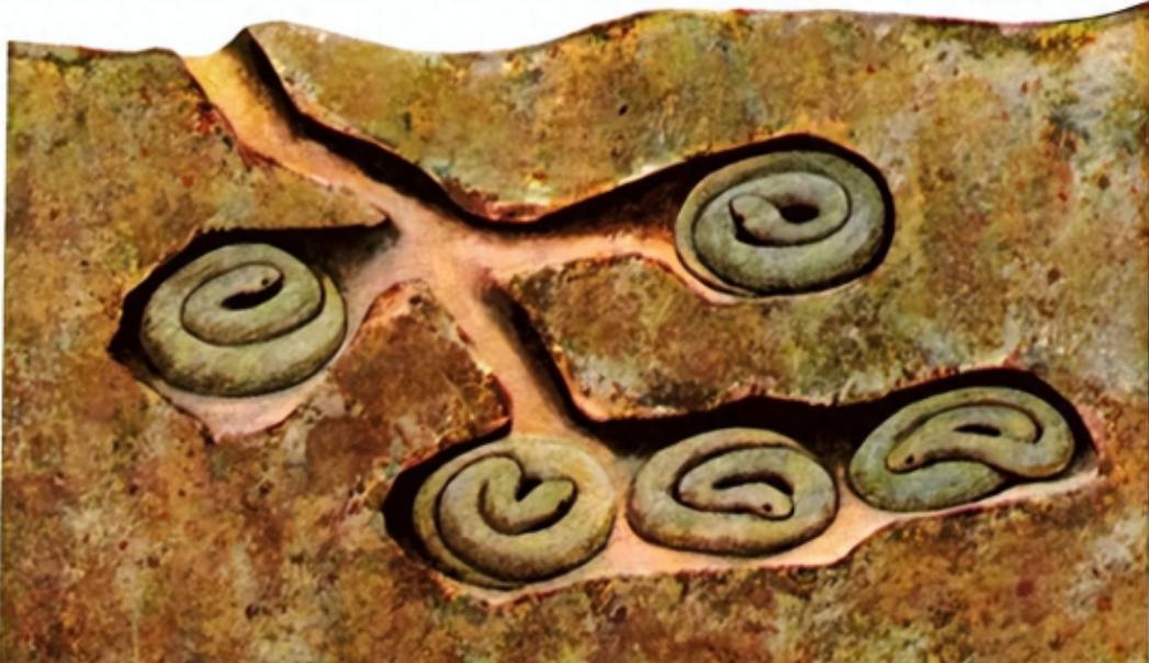 蛇冬眠的时候有多危险？一位与蛇打了半辈子交道的捕蛇人说得直白：90%的人都想不明