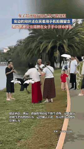 云南弥勒景区这名女子的举动，

实在是太过分了。为了拍出好看的打卡照片，她硬生生