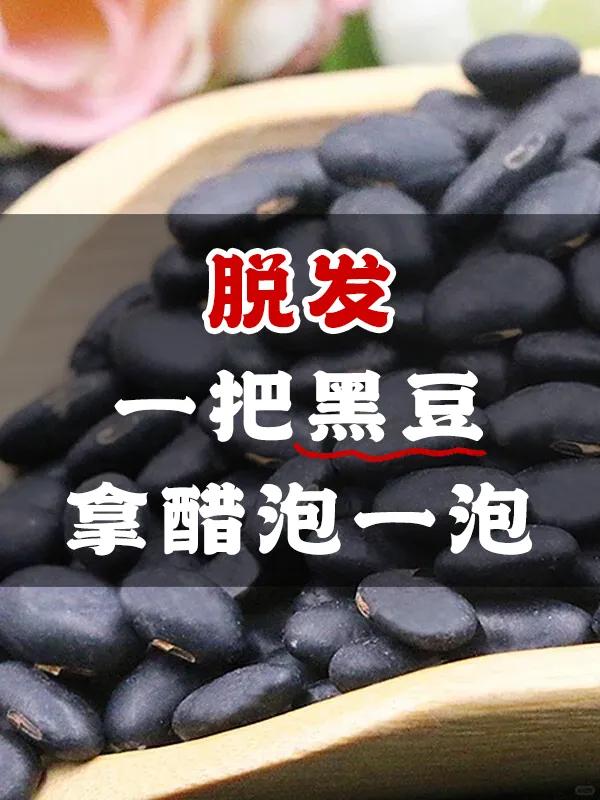 脱发，一把黑豆拿醋泡一泡