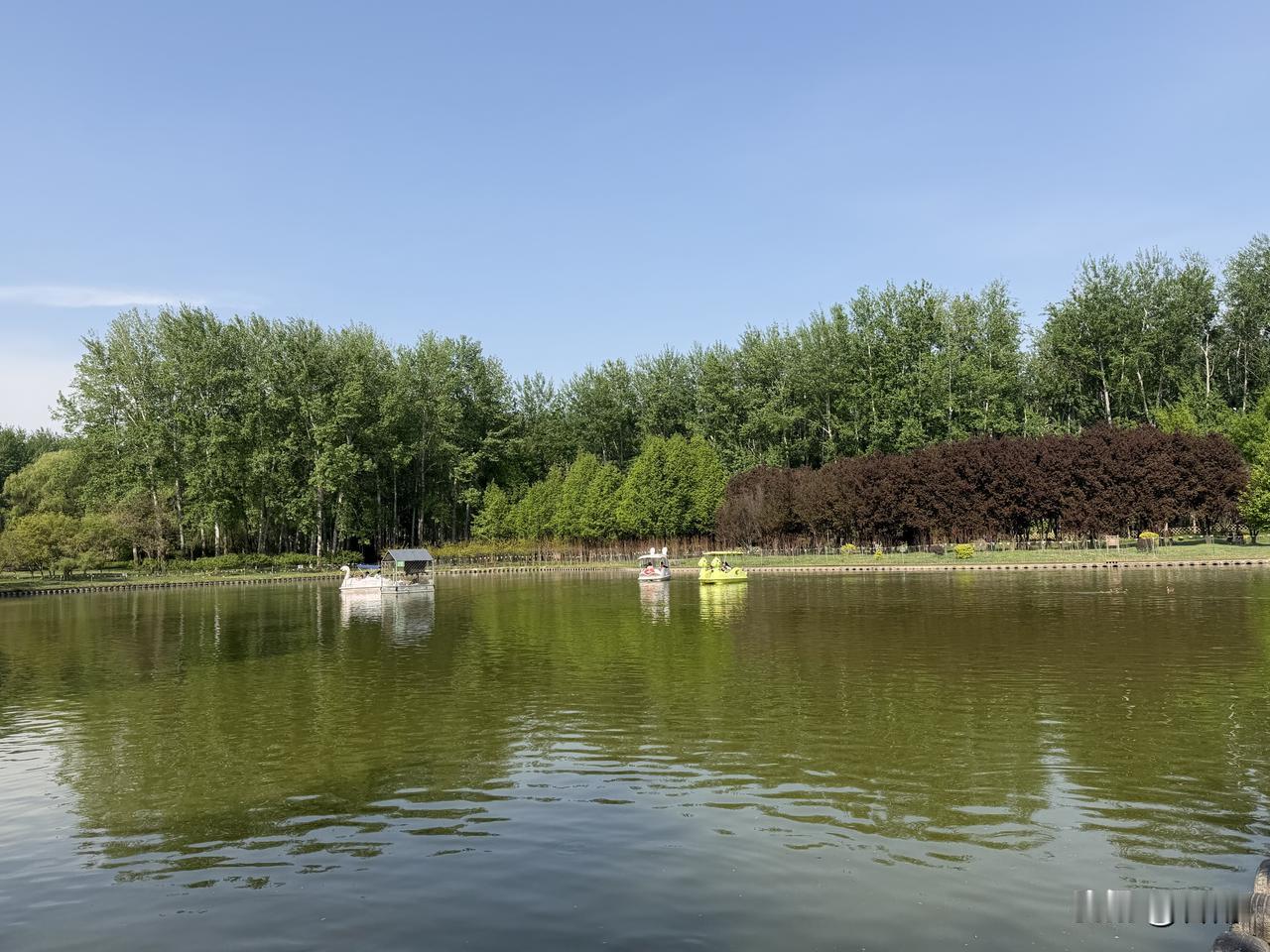 春夏之交，中老年养生，顺应时节，身心都健康。

眼下，正是春夏之交的时节。气温起