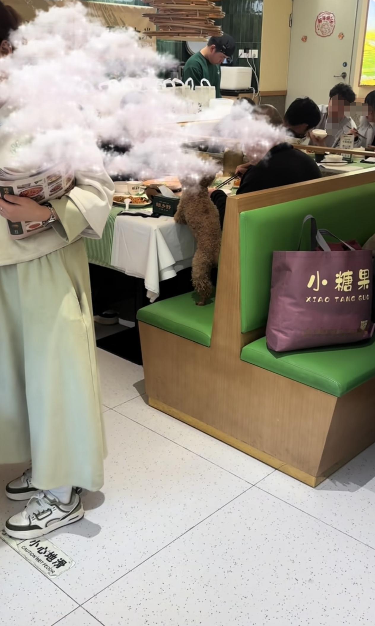 为何屡禁不止？6月15日，安徽合肥。网友发布视频，某餐厅内一宠物狗上桌与主人共同