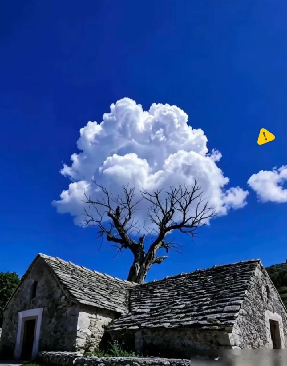 我有个一直想不通的小疑问：如果我妈最初嫁的是大伯，那大伯算不算她第一任丈夫？
