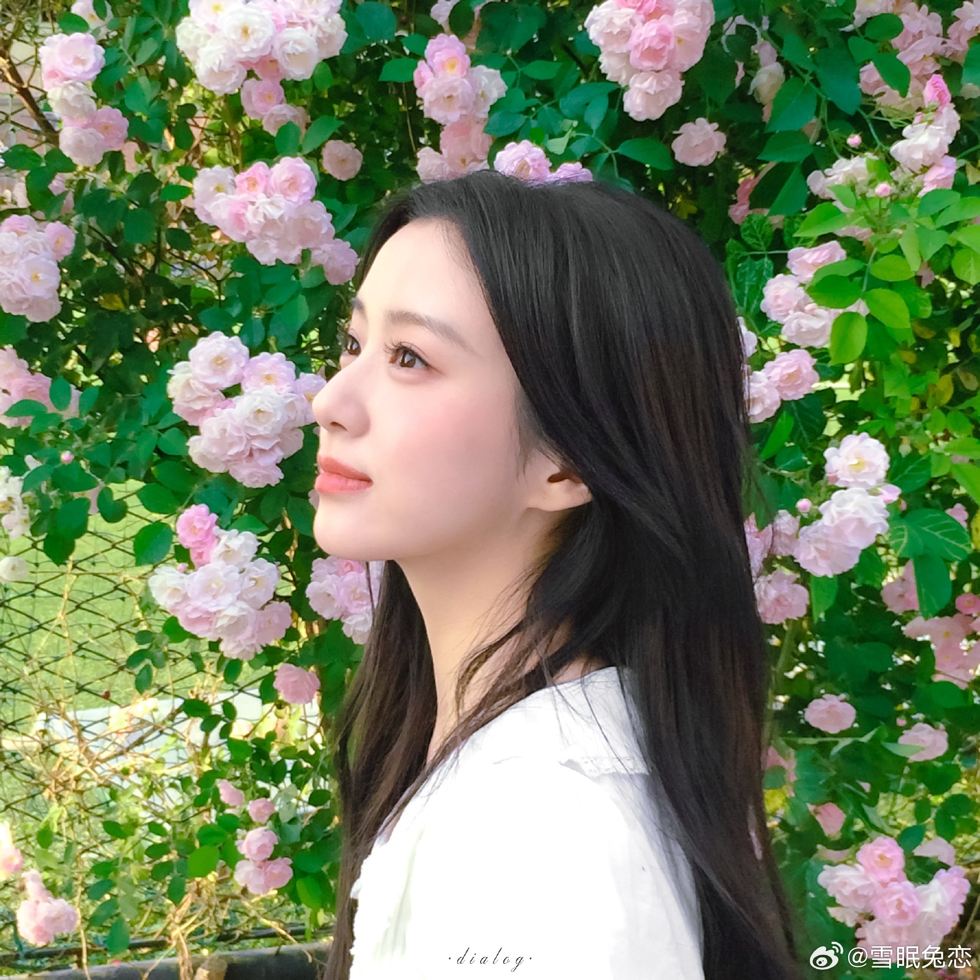包上恩 💛包上恩周挽 💛包上恩炽夏当世界凉如荒岛 我们依然会是彼此的依靠^⌯